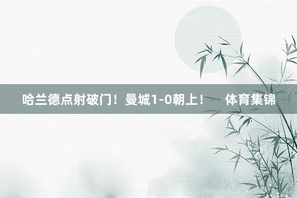 哈兰德点射破门！曼城1-0朝上！    体育集锦
