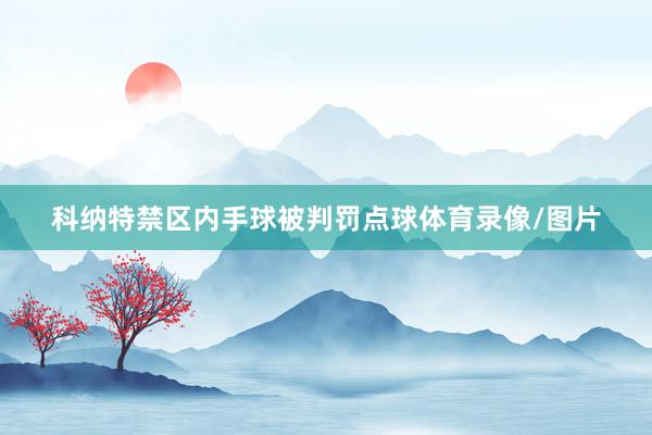 科纳特禁区内手球被判罚点球体育录像/图片