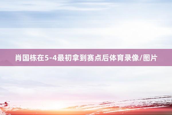 肖国栋在5-4最初拿到赛点后体育录像/图片