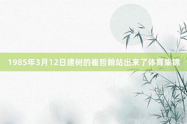 1985年3月12日建树的崔哲翰站出来了体育集锦
