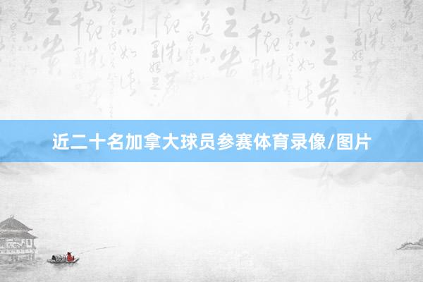 近二十名加拿大球员参赛体育录像/图片