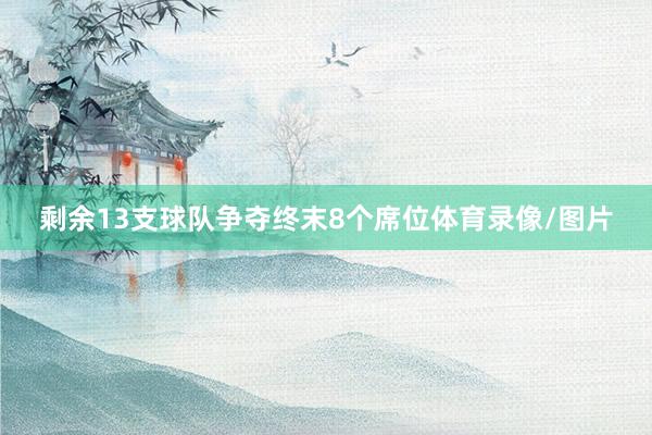 剩余13支球队争夺终末8个席位体育录像/图片