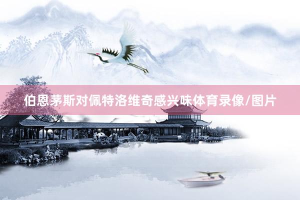伯恩茅斯对佩特洛维奇感兴味体育录像/图片