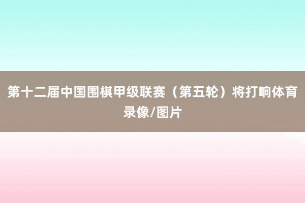 第十二届中国围棋甲级联赛（第五轮）将打响体育录像/图片