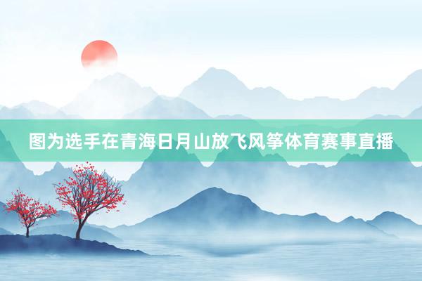 图为选手在青海日月山放飞风筝体育赛事直播
