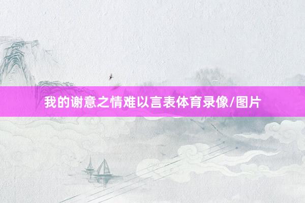 我的谢意之情难以言表体育录像/图片