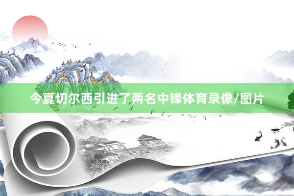 今夏切尔西引进了两名中锋体育录像/图片