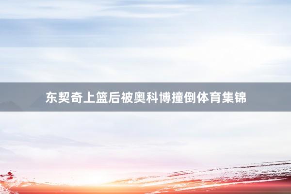 东契奇上篮后被奥科博撞倒体育集锦