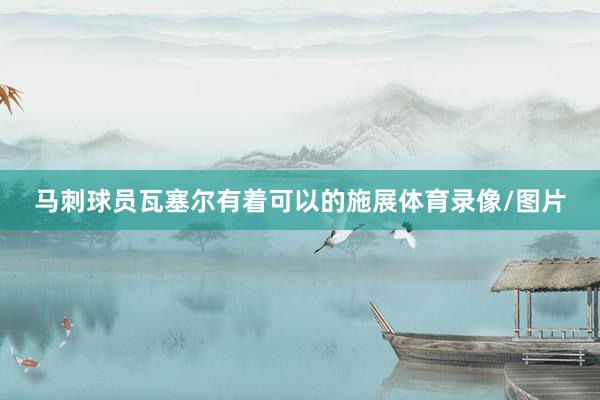 马刺球员瓦塞尔有着可以的施展体育录像/图片