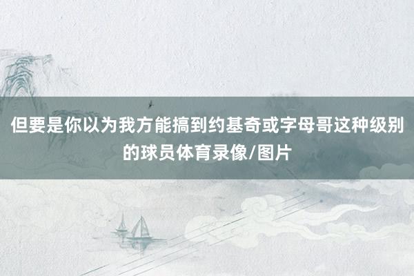 但要是你以为我方能搞到约基奇或字母哥这种级别的球员体育录像/图片