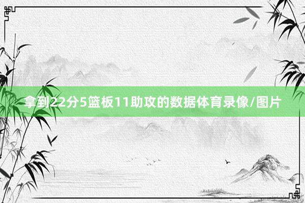 拿到22分5篮板11助攻的数据体育录像/图片