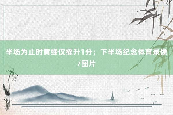 半场为止时黄蜂仅擢升1分;下半场纪念体育录像/图片