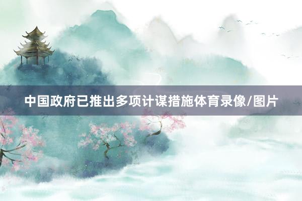 中国政府已推出多项计谋措施体育录像/图片