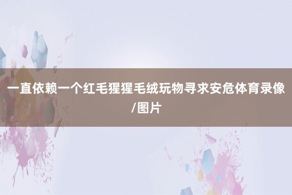 一直依赖一个红毛猩猩毛绒玩物寻求安危体育录像/图片