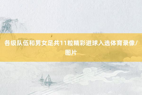 各级队伍和男女足共11粒精彩进球入选体育录像/图片
