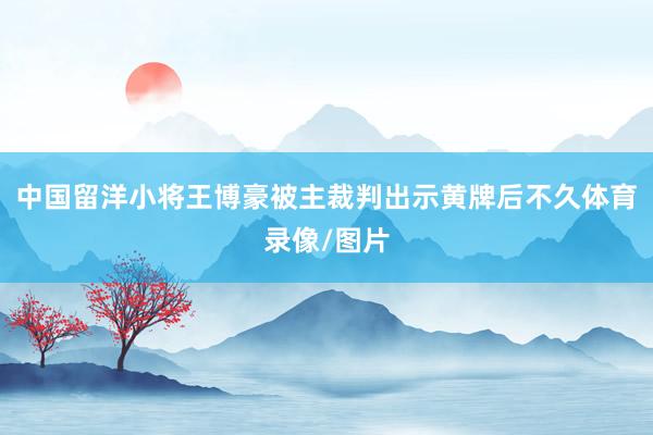 中国留洋小将王博豪被主裁判出示黄牌后不久体育录像/图片