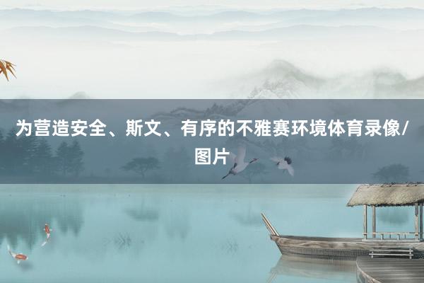 为营造安全、斯文、有序的不雅赛环境体育录像/图片