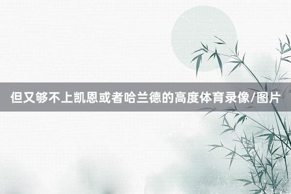 但又够不上凯恩或者哈兰德的高度体育录像/图片