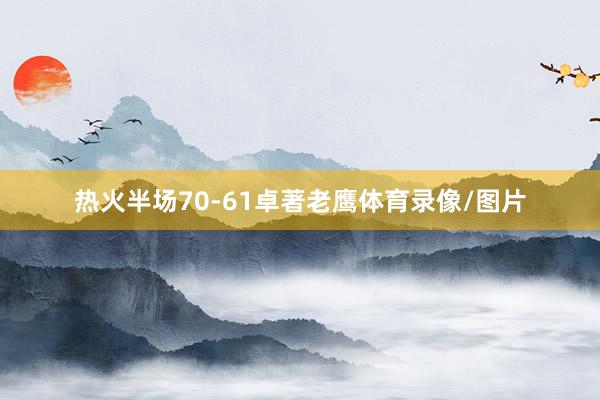 热火半场70-61卓著老鹰体育录像/图片